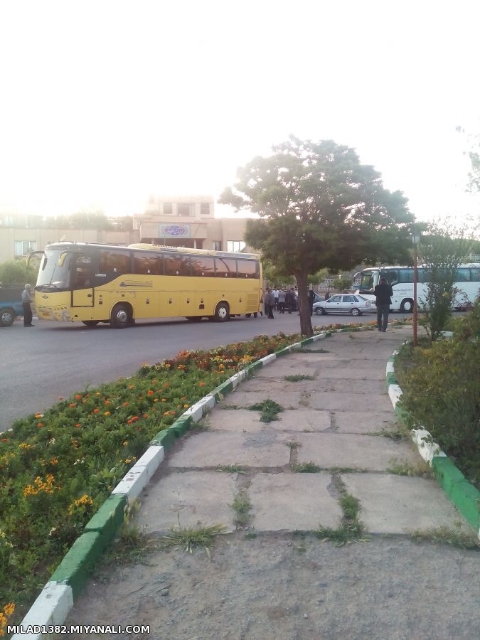 فرمانداری