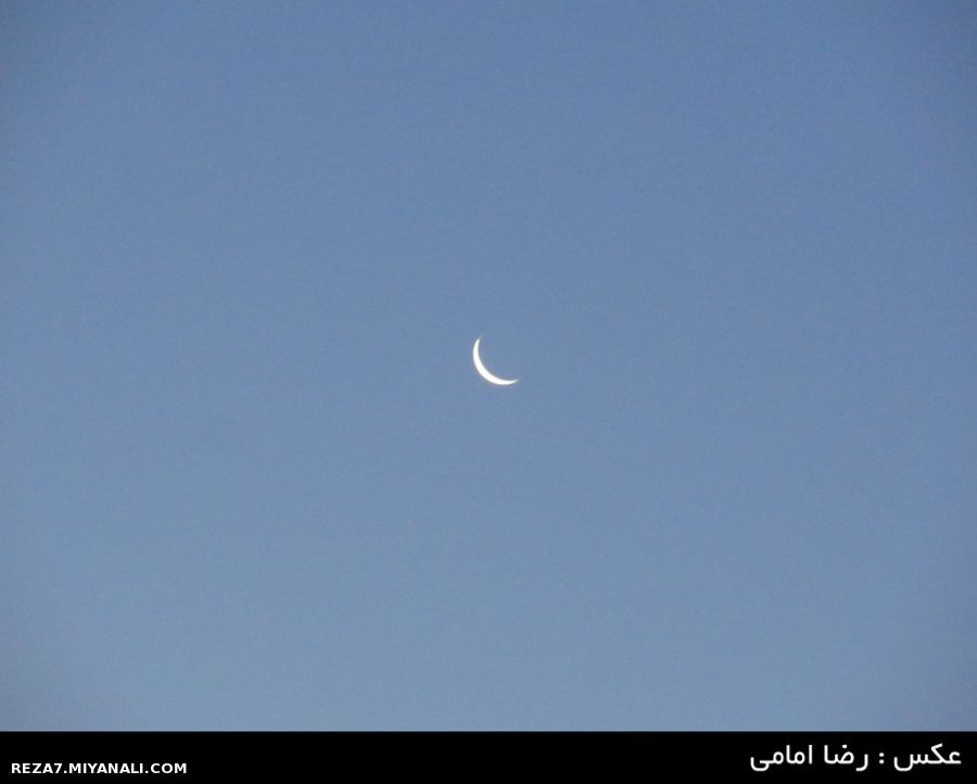 عکس : رضا امامی