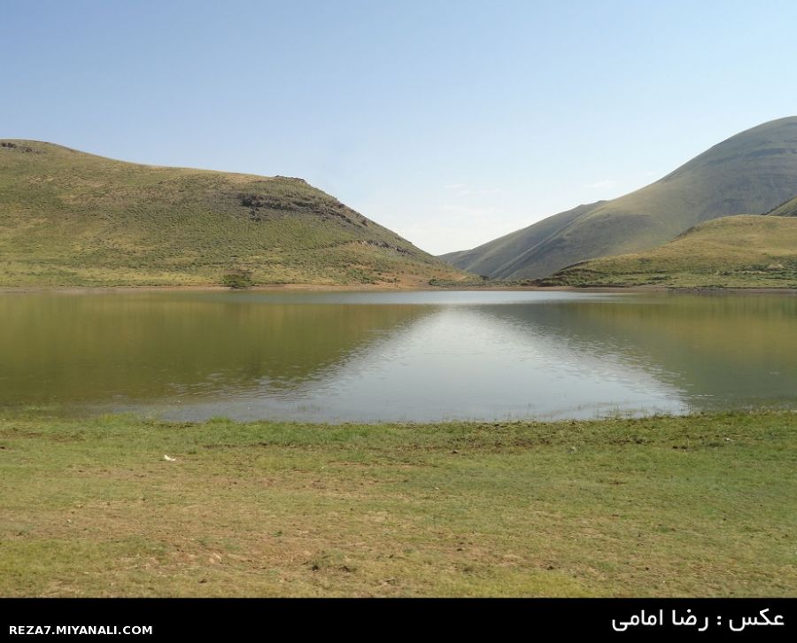 عکس : رضا امامی