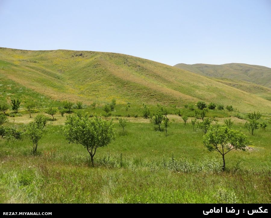 عکس : رضا امامی