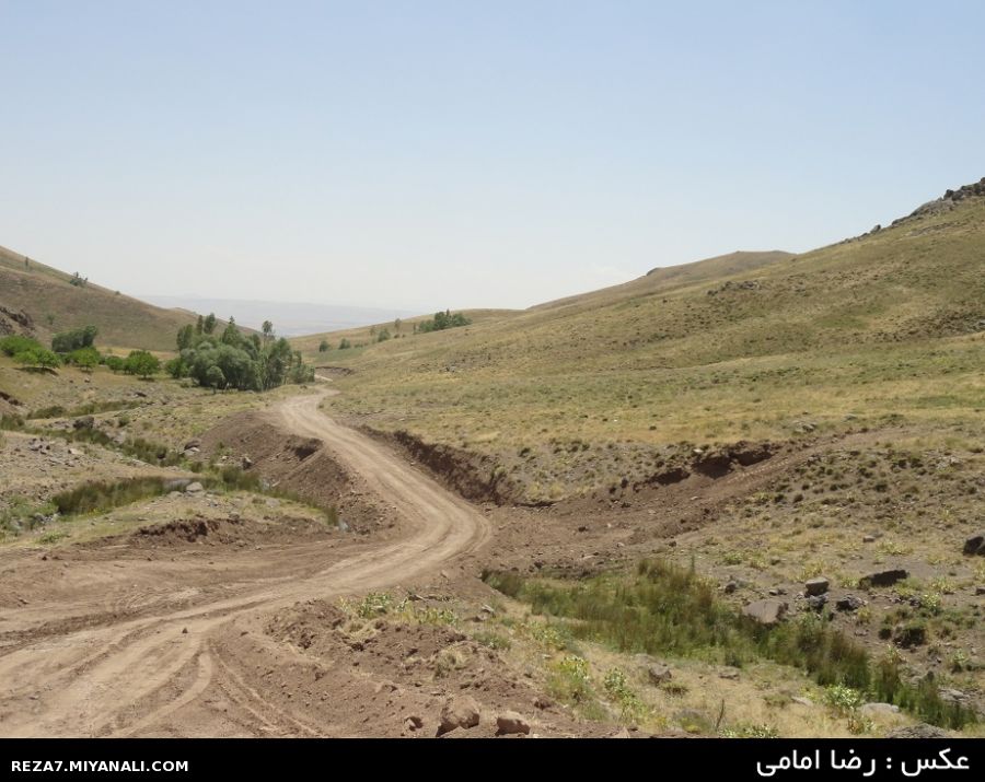 عکس : رضا امامی