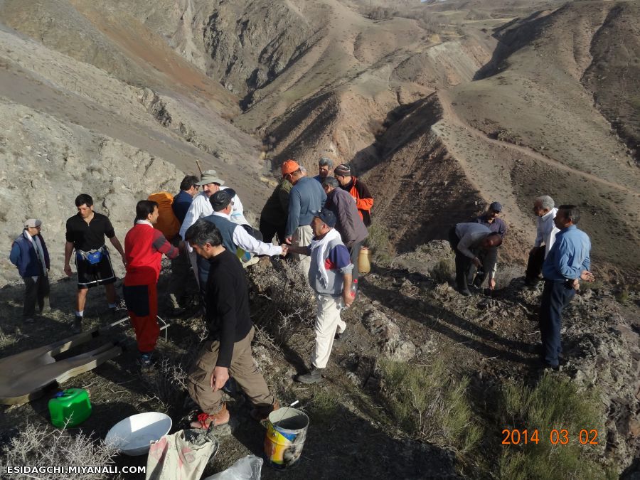 ائل گوجی 