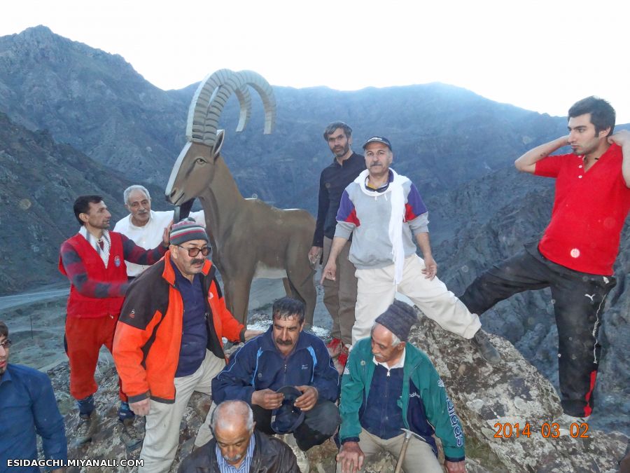 تندیس 