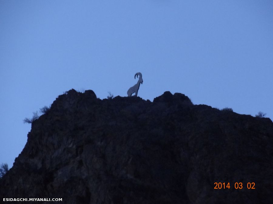 تکه 